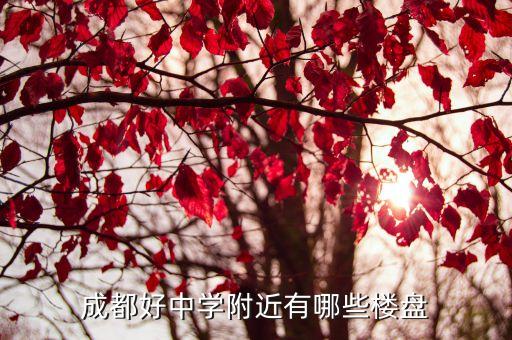 成都好中学附近有哪些楼盘