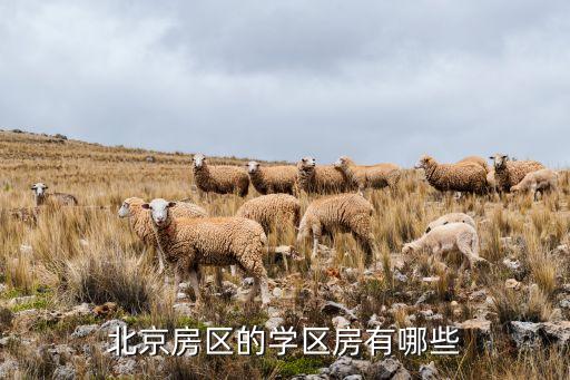 北京房区的学区房有哪些