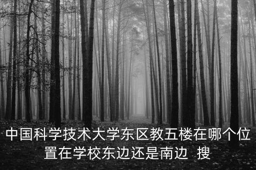 中国科学技术大学东区教五楼在哪个位置在学校东边还是南边  搜