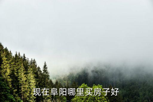 阜阳房价学区房有哪些，阜阳颖东育英小学附近楼盘价位