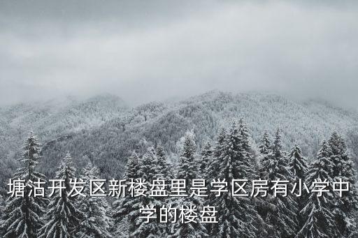 塘沽开发区新楼盘里是学区房有小学中学的楼盘