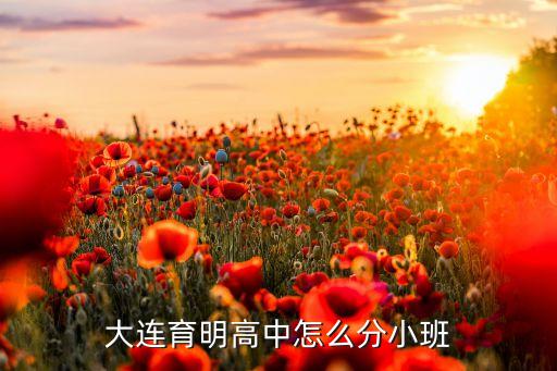 大连育明高中怎么分小班