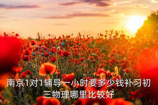 南京1对1辅导一小时要多少钱补习初三物理哪里比较好