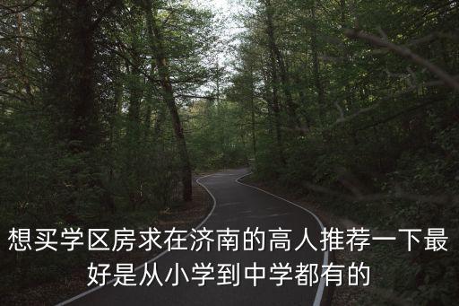 想买学区房求在济南的高人推荐一下最好是从小学到中学都有的