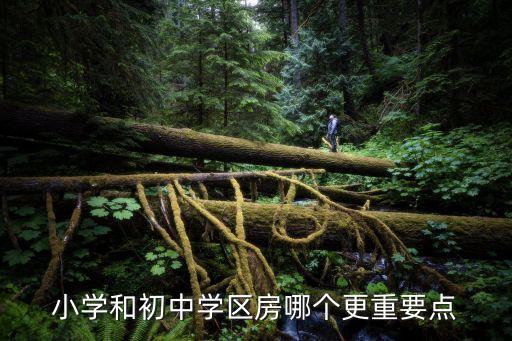 小学和初中学区房哪个更重要点