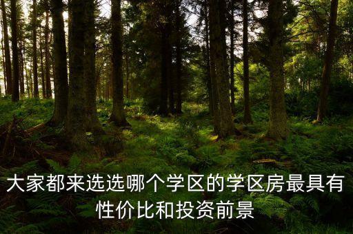大家都来选选哪个学区的学区房最具有性价比和投资前景