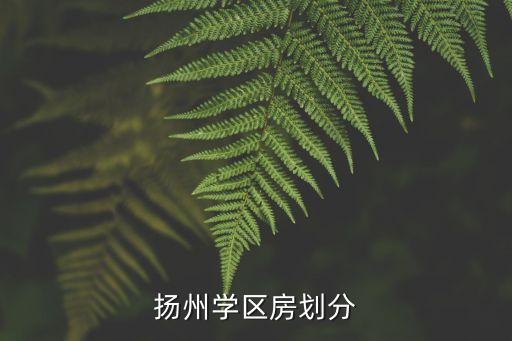扬州学区房划分