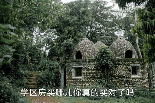 学区房买哪儿你真的买对了吗