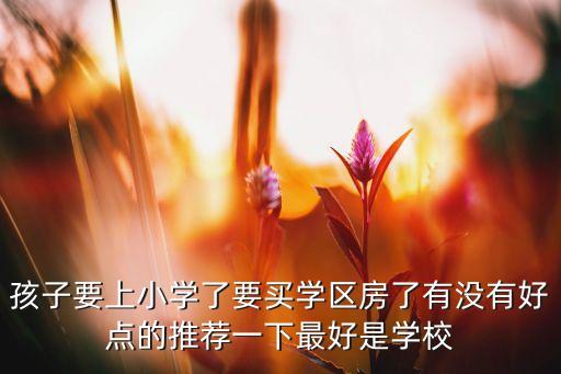 青岛学区房哪个地段最好，黄岛哪个学区房最好想买
