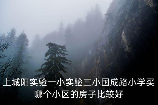 上城阳实验一小实验三小国成路小学买哪个小区的房子比较好