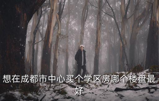 想在成都市中心买个学区房哪个楼盘最好