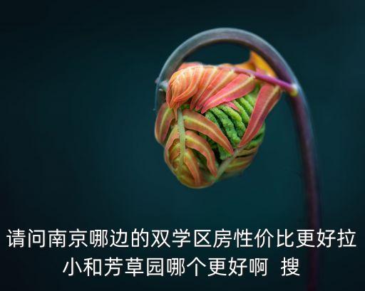 请问南京哪边的双学区房性价比更好拉小和芳草园哪个更好啊  搜