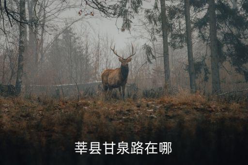 莘县甘泉文苑是哪个学区房，莘县甘泉路在哪