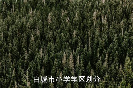 白城金碧乐府是哪个学区房，白城市小学学区划分