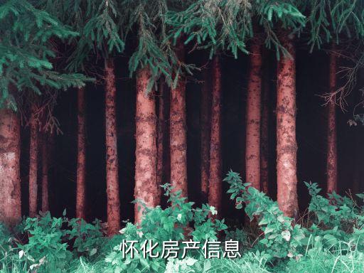 怀化房产信息