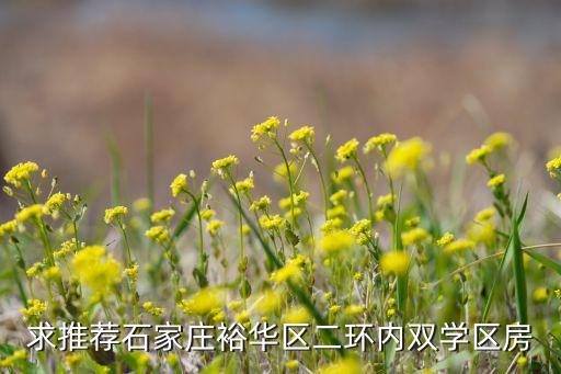 求推荐石家庄裕华区二环内双学区房