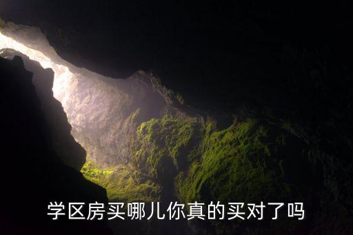 学区房买哪儿你真的买对了吗