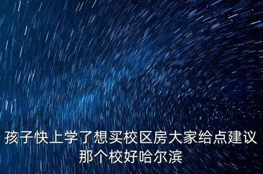 孩子快上学了想买校区房大家给点建议那个校好哈尔滨