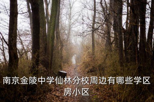 南京学区房的哪些，南京有哪些好的小学的学区房