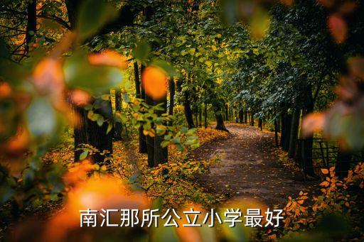 南汇那所公立小学最好