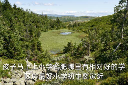 孩子马上上小学合肥哪里有相对好的学区房最好小学初中离家近