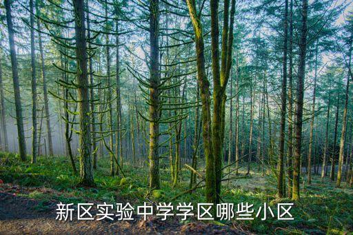 新区实验中学学区哪些小区