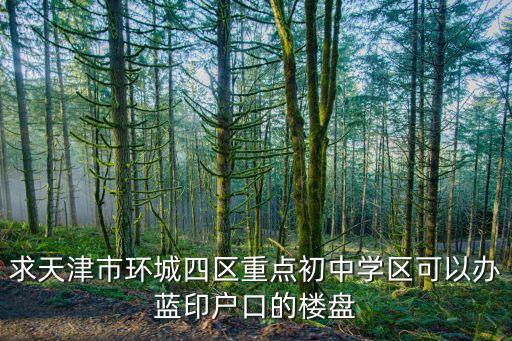 求天津市环城四区重点初中学区可以办蓝印户口的楼盘