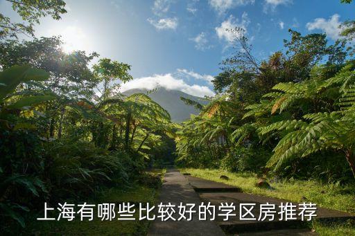 上海有哪些比较好的学区房推荐