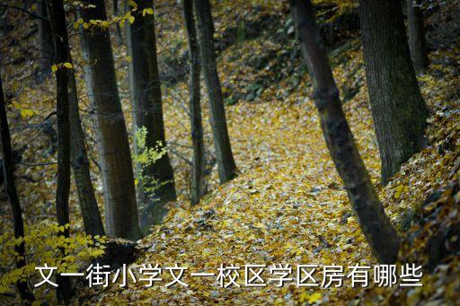 文一街小学文一校区学区房有哪些