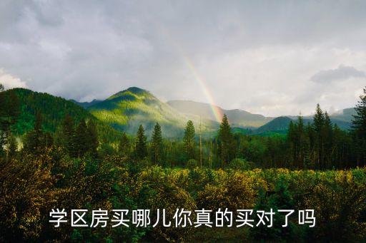 学区房买哪儿你真的买对了吗
