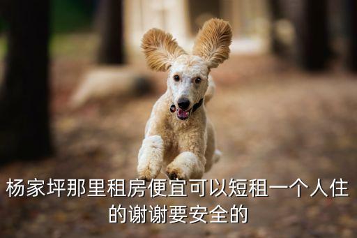 杨家坪那里租房便宜可以短租一个人住的谢谢要安全的
