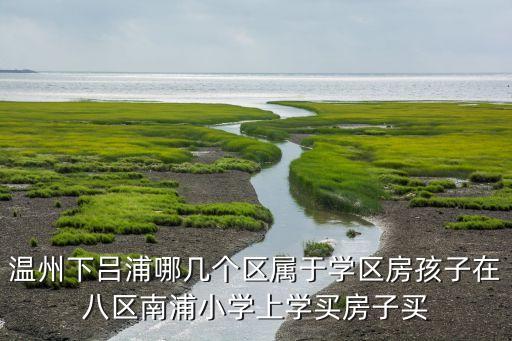 温州下吕浦哪几个区属于学区房孩子在八区南浦小学上学买房子买