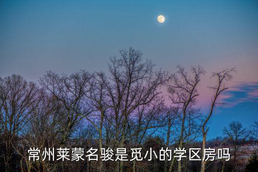 常州莱蒙名骏是觅小的学区房吗