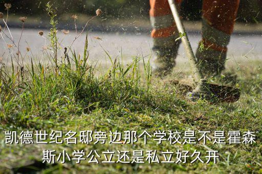 凯德世纪名邸旁边那个学校是不是霍森斯小学公立还是私立好久开