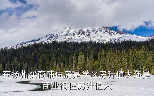 在扬州买商铺住房是学区房升值大还是商业街住房升值大