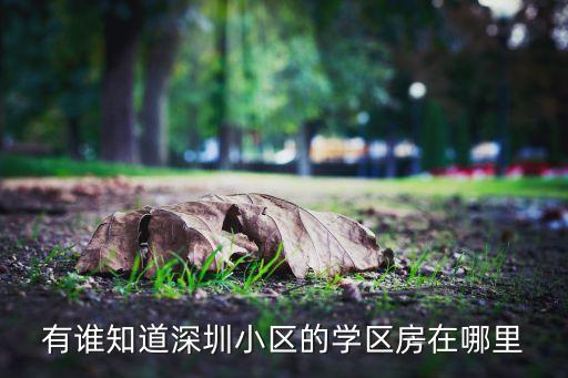 有谁知道深圳小区的学区房在哪里
