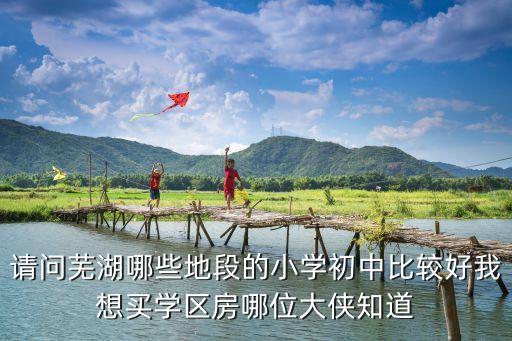 请问芜湖哪些地段的小学初中比较好我想买学区房哪位大侠知道