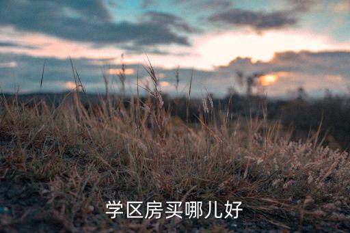 郁金蓝湾哪个学区房好，说是学区房