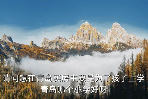 请问想在青岛买房主要是为了孩子上学青岛哪个小学好呀