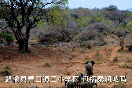 赣榆县青口镇三小学区 包括泰润城吗
