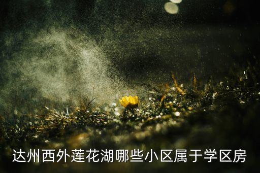 达州西外莲花湖哪些小区属于学区房