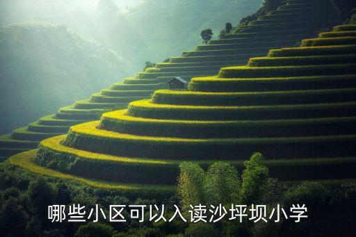 哪些小区可以入读沙坪坝小学