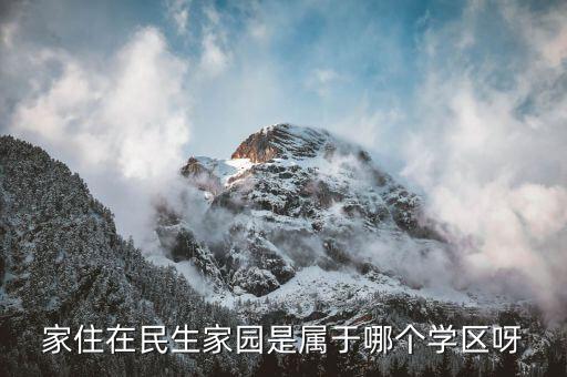 家住在民生家园是属于哪个学区呀