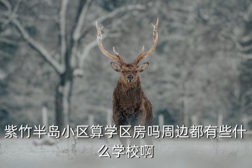 上海民办学区房有哪个，嘉定桃李园还是闵行实验