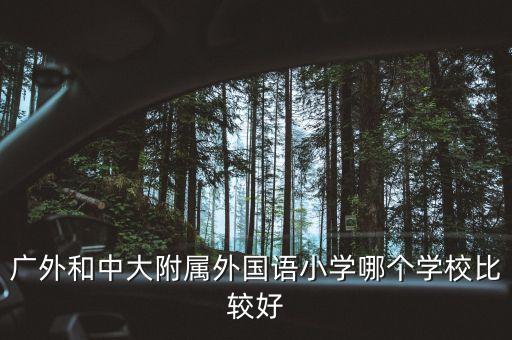 广外和中大附属外国语小学哪个学校比较好