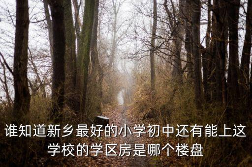 谁知道新乡最好的小学初中还有能上这学校的学区房是哪个楼盘