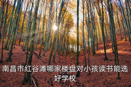 南昌市红谷滩哪家楼盘对小孩读书能选好学校