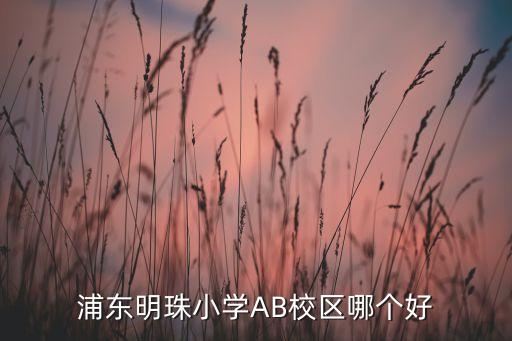 浦东明珠小学AB校区哪个好