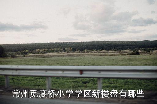 常州觅度桥小学学区新楼盘有哪些
