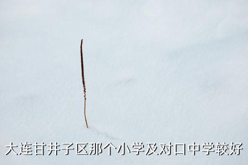 大连甘井子区那个小学及对口中学较好